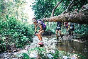 BIB: 
                            <button type="button" onclick="openModal(25435881)" class="btn btn-primary btn-sm float-right btn-popup" data-toggle="modal" data-target=".modal-high-quality">
                        <i class="fas fa-shopping-cart"></i> Add to Cart
                    </button>
                                            <button type="button" onclick="isThisMe(25435881, true)" class="btn btn-success btn-sm float-right btn-popup btn-isme hidden" data-toggle="tooltip" data-placement="bottom" title="นี่คือรูปของคุณใช่ไหม คลิกที่นี่เพื่อเอาเข้าอัลบั้ม">
                        <i class="fas fa-plus"></i> Add to album
                    </button>
                    <button type="button" onclick="isThisMe(25435881, false)" class="btn btn-warning btn-sm float-right btn-popup btn-isnotme hidden">
                        <i class="fas fa-ban"></i> Remove from album
                    </button>